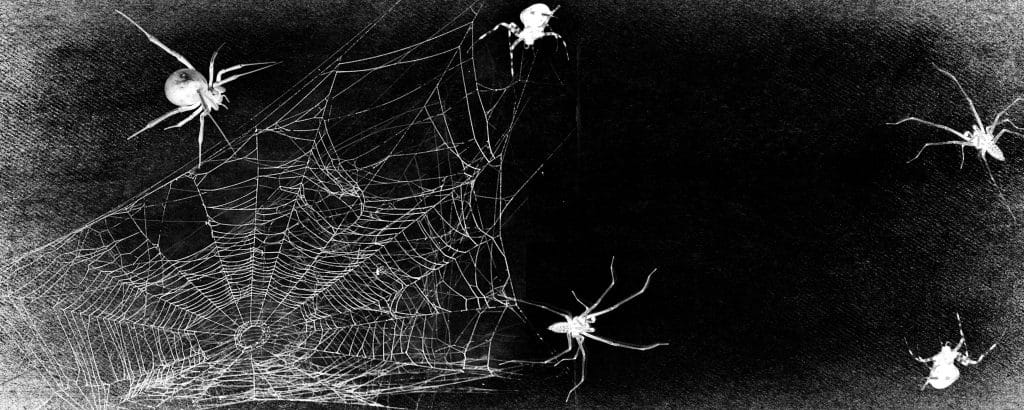 spiders on a black background with a web nightmare detective